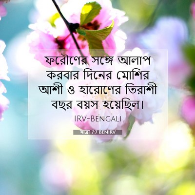Picture 07 - যাত্ৰা 7:7 BENIRV - ফরৌণের সঙ্গে আলাপ - Bible Verse Picture