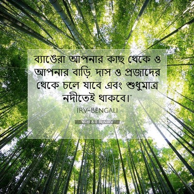 Picture 07 - যাত্ৰা 8:11 BENIRV - ব্যাঙেরা আপনার - Bible Verse Picture