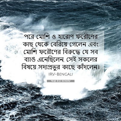 Picture 07 - যাত্ৰা 8:12 BENIRV - পরে মোশি ও হারোণ - Bible Verse Picture