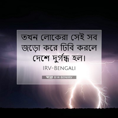 Picture 07 - যাত্ৰা 8:14 BENIRV - তখন লোকেরা সেই সব - Bible Verse Picture