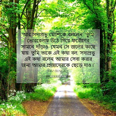 Picture 07 - যাত্ৰা 8:20 BENIRV - আর সদাপ্রভু - Bible Verse Picture