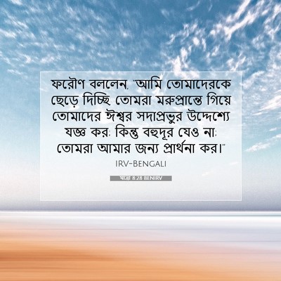 Picture 07 - যাত্ৰা 8:28 BENIRV - ফরৌণ বললেন, “আমি - Bible Verse Picture