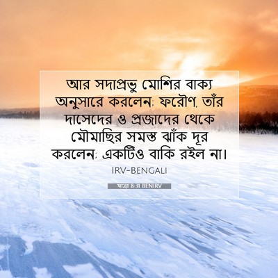 Picture 07 - যাত্ৰা 8:31 BENIRV - আর সদাপ্রভু মোশির - Bible Verse Picture