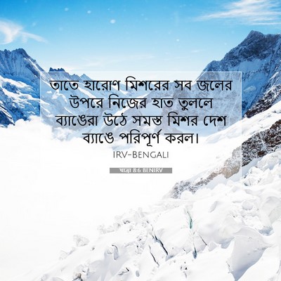 Picture 07 - যাত্ৰা 8:6 BENIRV - তাতে হারোণ মিশরের - Bible Verse Picture