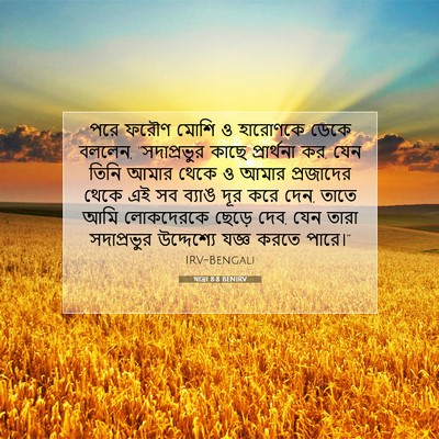 Picture 07 - যাত্ৰা 8:8 BENIRV - পরে ফরৌণ মোশি ও - Bible Verse Picture