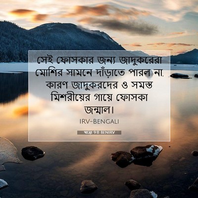Picture 07 - যাত্ৰা 9:11 BENIRV - সেই ফোসকার জন্য - Bible Verse Picture