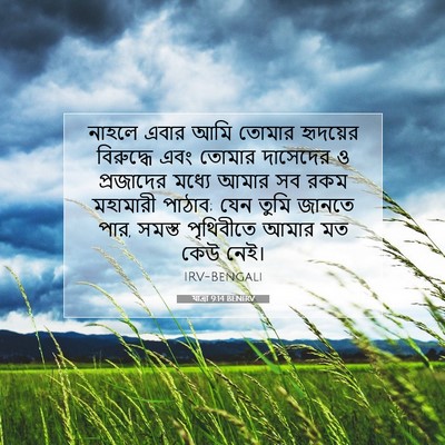 Picture 07 - যাত্ৰা 9:14 BENIRV - নাহলে এবার আমি - Bible Verse Picture