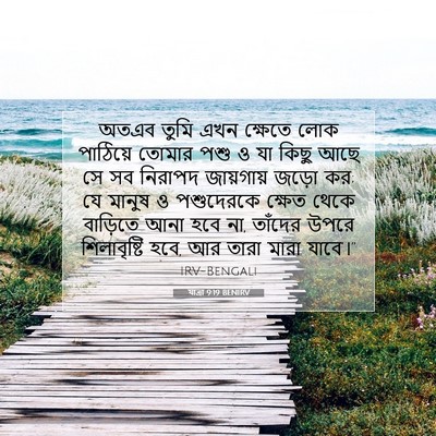 Picture 07 - যাত্ৰা 9:19 BENIRV - অতএব তুমি এখন - Bible Verse Picture