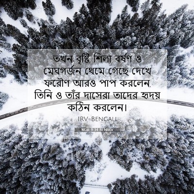 Picture 07 - যাত্ৰা 9:34 BENIRV - তখন বৃষ্টি, শিলা - Bible Verse Picture