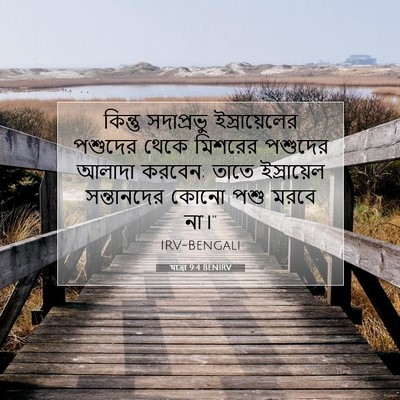 Picture 07 - যাত্ৰা 9:4 BENIRV - কিন্তু সদাপ্রভু - Bible Verse Picture