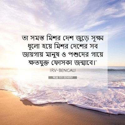 Picture 07 - যাত্ৰা 9:9 BENIRV - তা সমস্ত মিশর দেশ - Bible Verse Picture