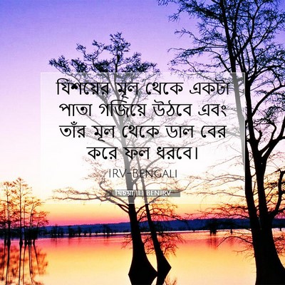 Picture 07 - যিচয়া 11:1 BENIRV - যিশয়ের মূল থেকে - Bible Verse Picture
