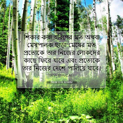 Picture 07 - যিচয়া 13:14 BENIRV - শিকার করা হরিণের - Bible Verse Picture