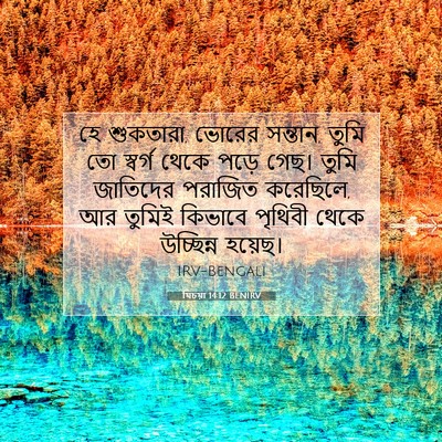 Picture 07 - যিচয়া 14:12 BENIRV - হে শুকতারা, ভোরের - Bible Verse Picture