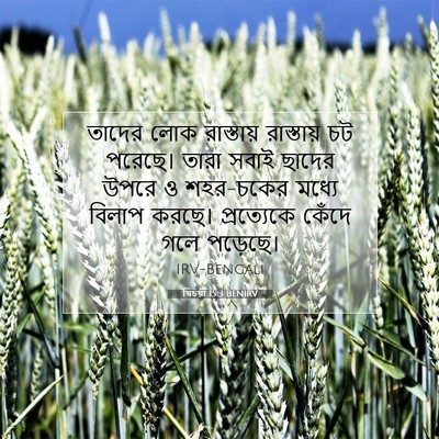 Picture 07 - যিচয়া 15:3 BENIRV - তাদের লোক - Bible Verse Picture