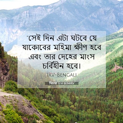Picture 07 - যিচয়া 17:4 BENIRV - “সেই দিন এটা ঘটবে - Bible Verse Picture