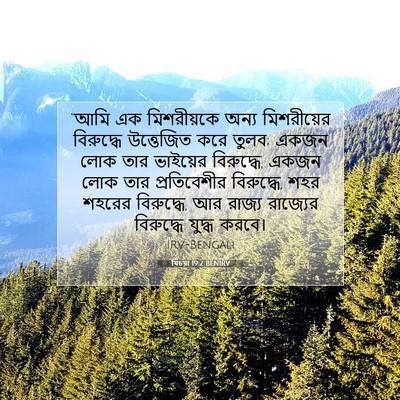 Picture 07 - যিচয়া 19:2 BENIRV - “আমি এক মিশরীয়কে - Bible Verse Picture