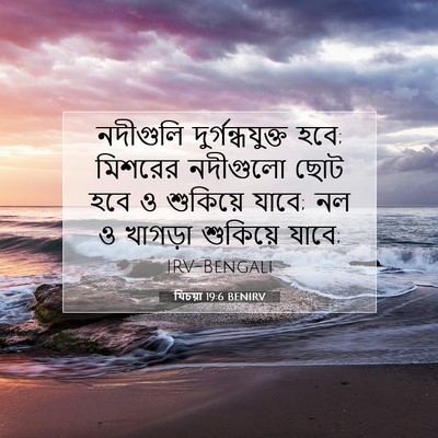 Picture 07 - যিচয়া 19:6 BENIRV - নদীগুলি - Bible Verse Picture