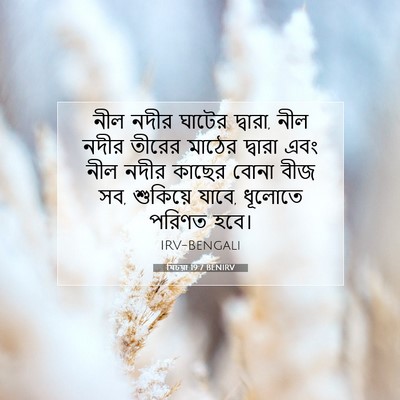 Picture 07 - যিচয়া 19:7 BENIRV - নীল নদীর ঘাটের - Bible Verse Picture