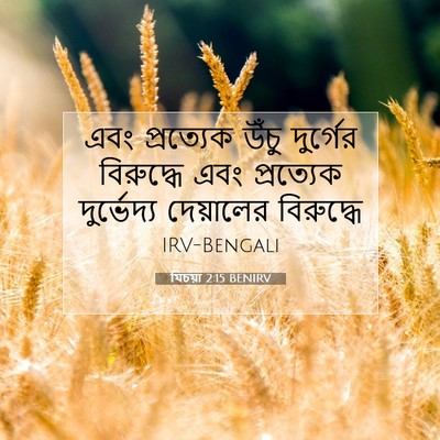 Picture 07 - যিচয়া 2:15 BENIRV - এবং প্রত্যেক উঁচু - Bible Verse Picture