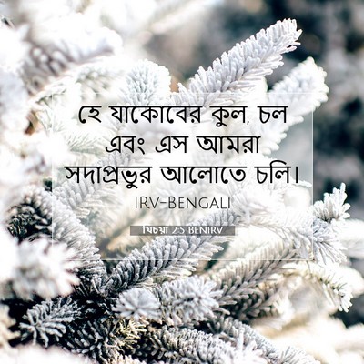 Picture 07 - যিচয়া 2:5 BENIRV - হে যাকোবের কুল, চল - Bible Verse Picture