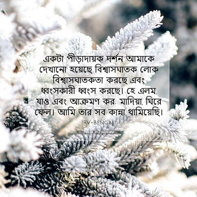 Picture 07 - যিচয়া 21:2 BENIRV - একটা পীড়াদায়ক - Bible Verse Picture