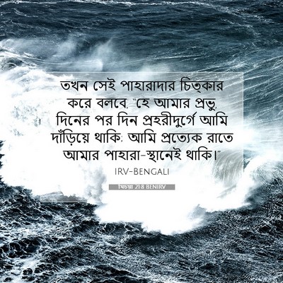 Picture 07 - যিচয়া 21:8 BENIRV - তখন সেই পাহারাদার - Bible Verse Picture