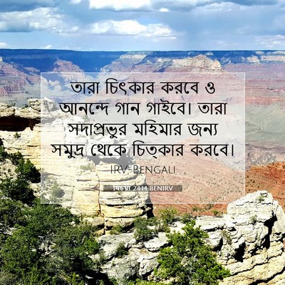 Picture 07 - যিচয়া 24:14 BENIRV - তারা চিৎকার করবে ও - Bible Verse Picture