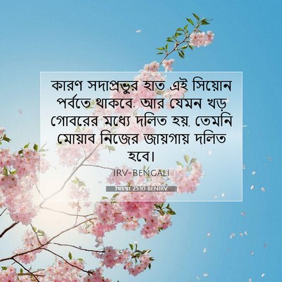 Picture 07 - যিচয়া 25:10 BENIRV - কারণ সদাপ্রভুর - Bible Verse Picture