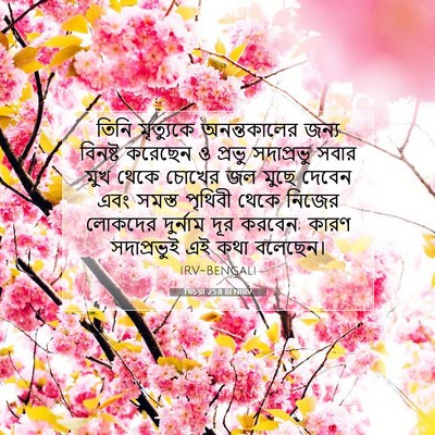 Picture 07 - যিচয়া 25:8 BENIRV - তিনি মৃত্যুকে - Bible Verse Picture