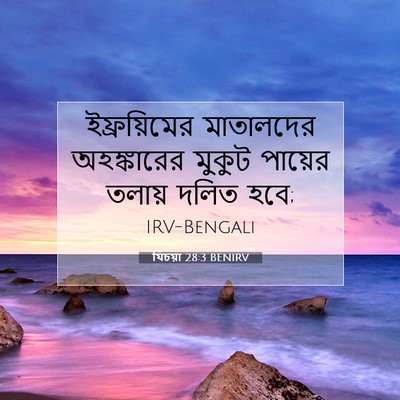 Picture 07 - যিচয়া 28:3 BENIRV - ইফ্রয়িমের - Bible Verse Picture