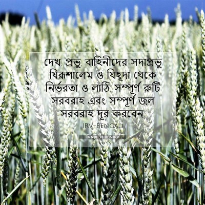 Picture 07 - যিচয়া 3:1 BENIRV - দেখ, প্রভু, - Bible Verse Picture
