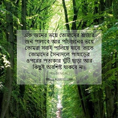 Picture 07 - যিচয়া 30:17 BENIRV - এক জনের ভয়ে - Bible Verse Picture