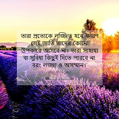 Picture 07 - যিচয়া 30:5 BENIRV - তারা প্রত্যেকে - Bible Verse Picture