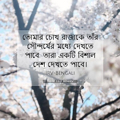Picture 07 - যিচয়া 33:17 BENIRV - তোমার চোখ রাজাকে - Bible Verse Picture