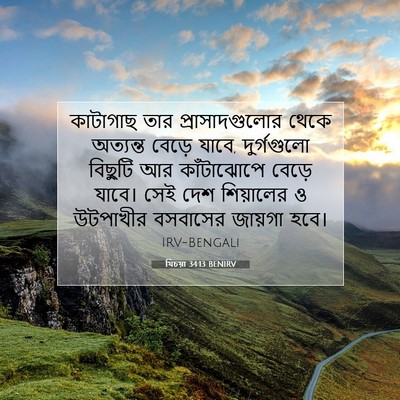 Picture 07 - যিচয়া 34:13 BENIRV - কাটাগাছ তার - Bible Verse Picture