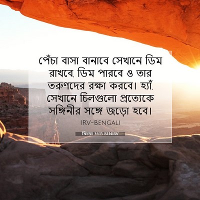 Picture 07 - যিচয়া 34:15 BENIRV - পেঁচা বাসা বানাবে - Bible Verse Picture