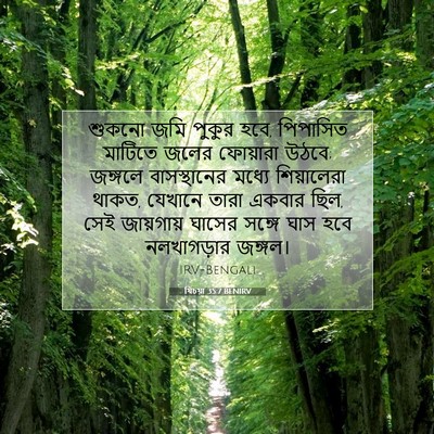 Picture 07 - যিচয়া 35:7 BENIRV - শুকনো জমি পুকুর - Bible Verse Picture