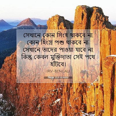 Picture 07 - যিচয়া 35:9 BENIRV - সেখানে কোন সিংহ - Bible Verse Picture