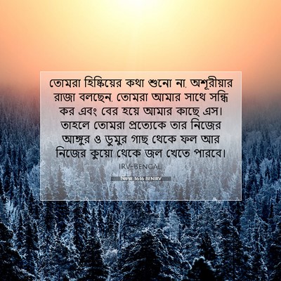 Picture 07 - যিচয়া 36:16 BENIRV - তোমরা হিষ্কিয়ের - Bible Verse Picture