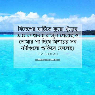 Picture 07 - যিচয়া 37:25 BENIRV - বিদেশের মাটিতে - Bible Verse Picture