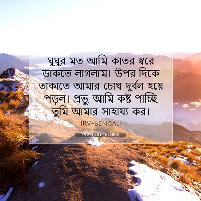 Picture 07 - যিচয়া 38:14 BENIRV - ঘুঘুর মত আমি কাতর - Bible Verse Picture