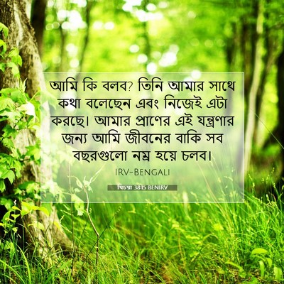 Picture 07 - যিচয়া 38:15 BENIRV - আমি কি বলব? তিনি - Bible Verse Picture