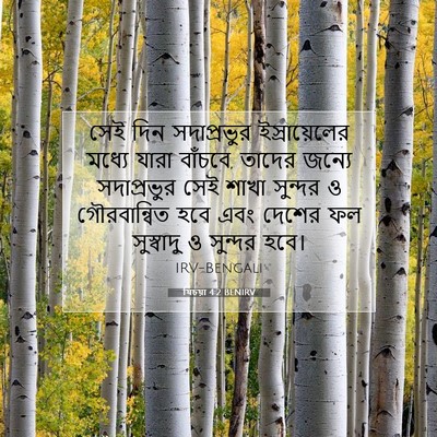 Picture 07 - যিচয়া 4:2 BENIRV - সেই দিন সদাপ্রভুর - Bible Verse Picture