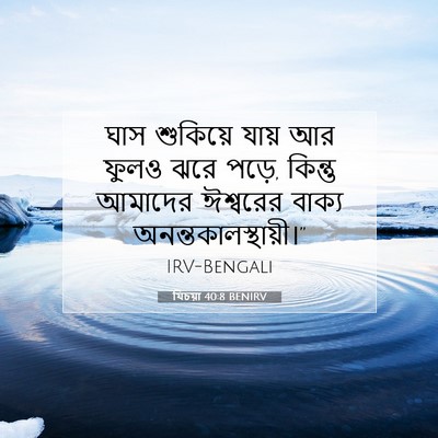 Picture 07 - যিচয়া 40:8 BENIRV - ঘাস শুকিয়ে যায় - Bible Verse Picture