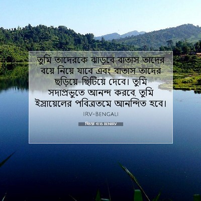 Picture 07 - যিচয়া 41:16 BENIRV - তুমি তাদেরকে - Bible Verse Picture