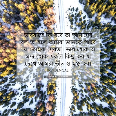 Picture 07 - যিচয়া 41:23 BENIRV - ভবিষ্যতে কি হবে তা - Bible Verse Picture