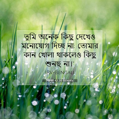 Picture 07 - যিচয়া 42:20 BENIRV - তুমি অনেক কিছু - Bible Verse Picture