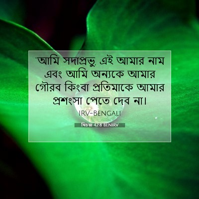 Picture 07 - যিচয়া 42:8 BENIRV - “আমি সদাপ্রভু, এই - Bible Verse Picture