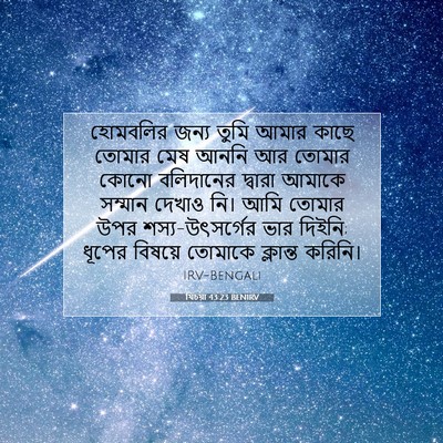 Picture 07 - যিচয়া 43:23 BENIRV - হোমবলির জন্য তুমি - Bible Verse Picture